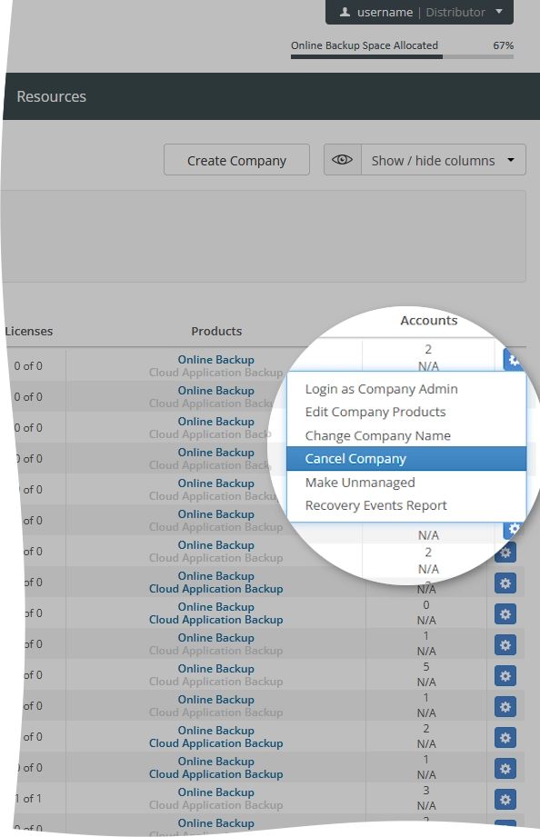 Cancel company action
