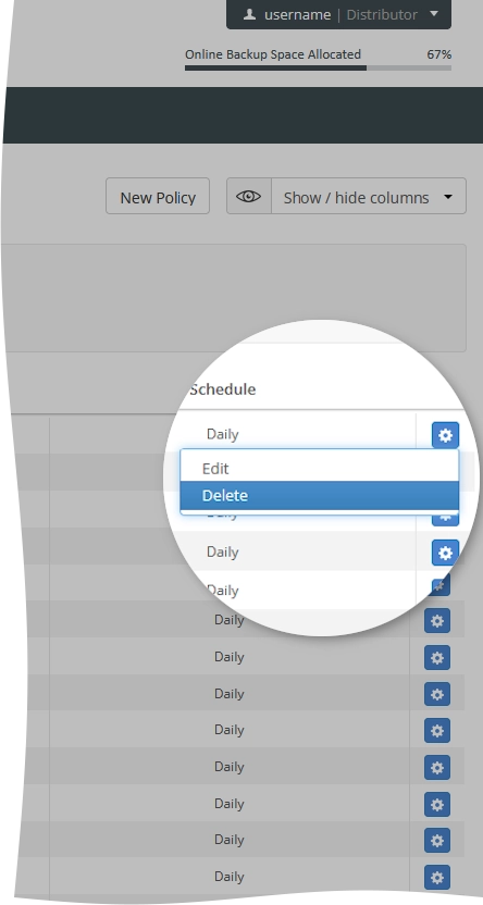 Delete policy action