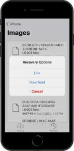 Restore options